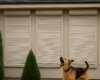 do roller shutters block noise