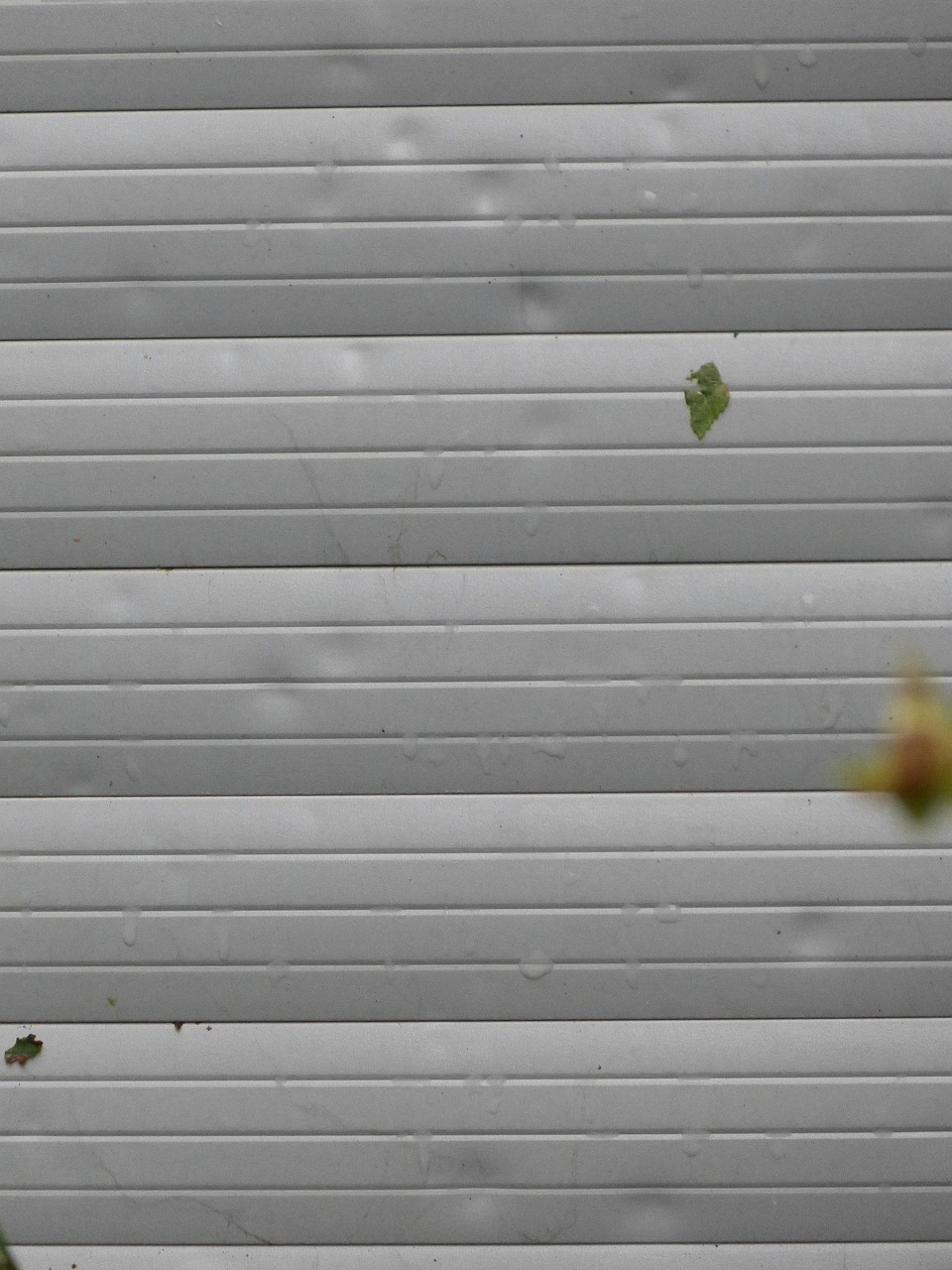 Roller Shutter Gallery Adelaide